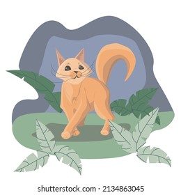 Ginger cat stands on the ground among the bushes against the background of the sky.The image can be used as an illustration for children's books, clothing,print,pet shops, goods, veterinary clinics