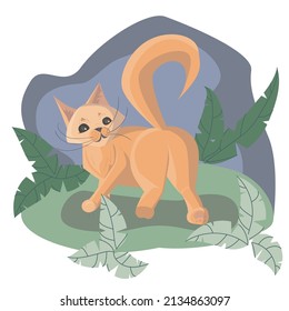 Ginger cat stands on the ground among the bushes against the background of the sky.The image can be used as an illustration for children's books, clothing,print,pet shops, goods, veterinary clinics