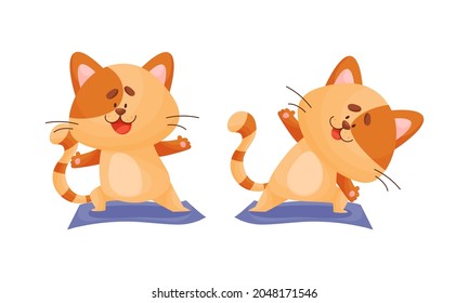 Ginger Cat with Striped Tail Doing Yoga Standing in Asana Vector Set