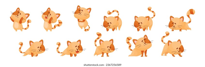 Ginger Cat with Striped Tail Doing Yoga Standing in Asana Vector Set