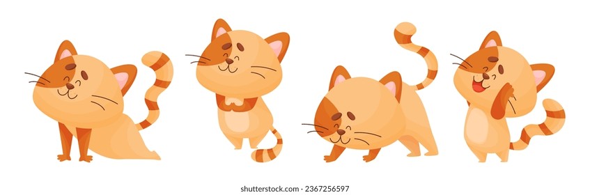 Ginger Cat with Striped Tail Doing Yoga Standing in Asana Vector Set