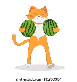 A ginger cat walks quickly and carries under his arm two large ripe green watermelons, depicted in full growth, a satisfied face, on a white background