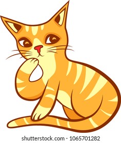 ginger cat washes paw and mysterious looking to the side