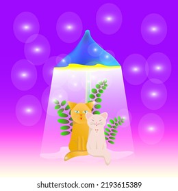 ginger cat and white kitty sitting under glowing blue mushroom at night