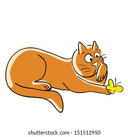 Ginger cat and yellow butterfly.