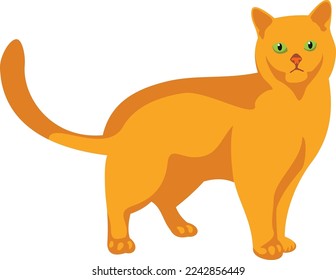 Ginger cat. Yellow pet standing. Cute animal