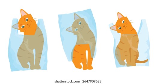 Ginger cats play with plastic shopping bags. Collection of kittens in various poses is misbehaving and playing around, crazy funny fluffy kittens. Vector