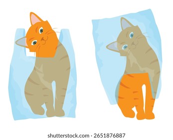 Ginger cats play with plastic shopping bags. Collection of kittens in various poses is misbehaving and playing around, crazy funny fluffy kittens. Vector