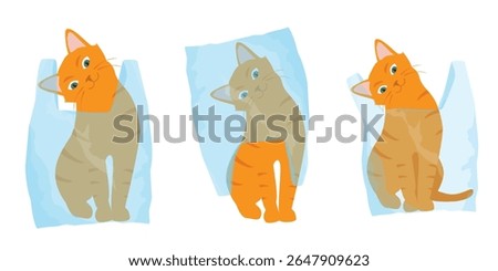 Ginger cats play with plastic shopping bags. Collection of kittens in various poses is misbehaving and playing around, crazy funny fluffy kittens. Vector
