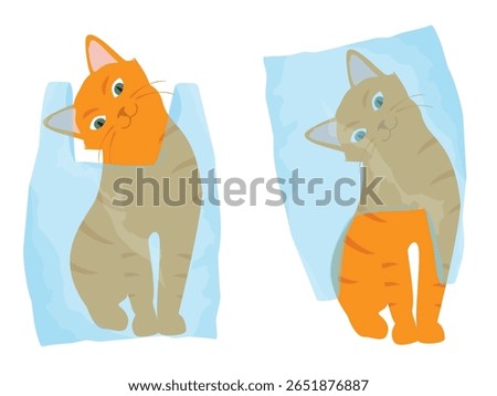 Ginger cats play with plastic shopping bags. Collection of kittens in various poses is misbehaving and playing around, crazy funny fluffy kittens. Vector