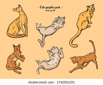Ginger cats vector hand drawn illustration. Colored realistic vector drawings.