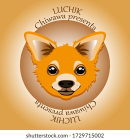 Ginger chihuahua dog in a circle