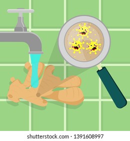 Ginger contaminated with cartoon microbes being cleaned and washed in a kitchen. Microorganisms, virus and bacteria in the vegetable enlarged by a magnifying glass. Running tap water. Angry microbes c