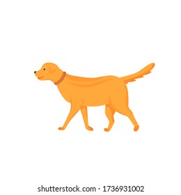 Ginger dog flat color vector character. Domestic animal on walk. Pet sitting and daycare. Veterinary and clinic. Puppy stand isolated cartoon illustration for web graphic design and animation