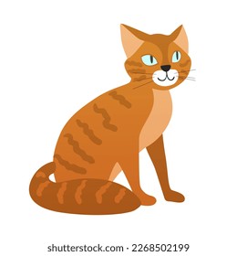 Ginger domestic cat. Fluffy house pet, breed cat, mammal feline vector cartoon illustration