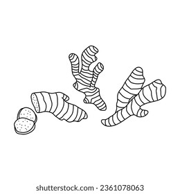 Ginger doodle icon, vector illustration isolated on white background