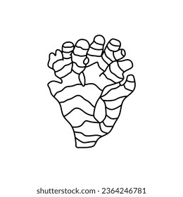 Ginger doodle icon, vector illustration isolated on white background