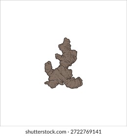 ginger drawing artwork handmade illustration