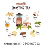 Ginger drink recipe. Immune boosting green tea ingredients, healthy spicy root, cinnamon, honey, lemon and water, beverage with aromatic culinary condiment, traditional medicine, tidy vector concept