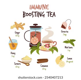 Ginger drink recipe. Immune boosting green tea ingredients, healthy spicy root, cinnamon, honey, lemon and water, beverage with aromatic culinary condiment, traditional medicine, tidy vector concept