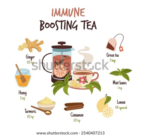 Ginger drink recipe. Immune boosting green tea ingredients, healthy spicy root, cinnamon, honey, lemon and water, beverage with aromatic culinary condiment, traditional medicine, tidy vector concept