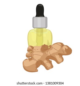 Ginger essential oil in a dropper vector illustration on a white background isolated