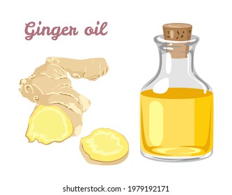 Ginger essential oil in glass bottle isolated on white background, ginger root and slices. Vector illustration in cartoon flat style.