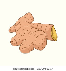 Ginger flat design cartoon icon illustration