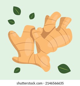 Ginger. Flat design vector illustration of ginger on green background