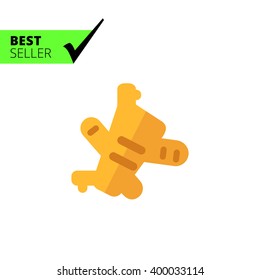 Ginger flat icon