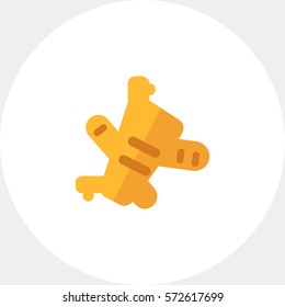 Ginger flat icon
