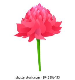 Ginger Flower. Vector Illustration. The Object Is Isolated On A White Background. Icon. Modern Flat Style.