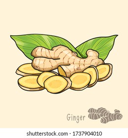 Ginger is a flowering plant whose rhizome, ginger root is widely used as a spice and a folk medicine. And can be made into ginger juice or ginger tea that has a deliciously taste and good for health