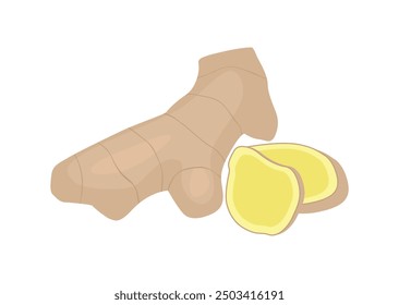 Ginger. Fresh ginger root with slices vector illustration.