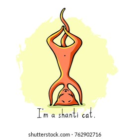 Ginger funny yoga cat meditates on the head. An illustration in the cartoon style with the inscription "I'm a Shanti Cat".