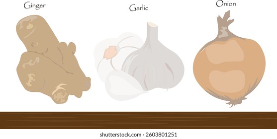 Ginger, Garlic, Onion. Daily common kitchen spices and herbs