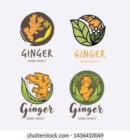 Ginger Or Ginseng Logo Set - Vector