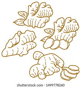 Ginger Graphic Illustration Line Art Style