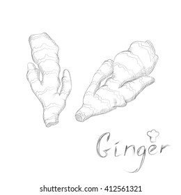ginger hand drawing sketch pencil