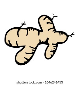 Ginger hand drawn illustration vector sign and symbol on outline and coloring style 