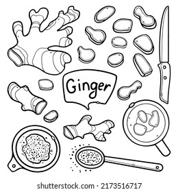 Ginger hand-drawn outline Vector Set. Ginger whole, knife cut, ground, ginger tea. For menu design in doodle style