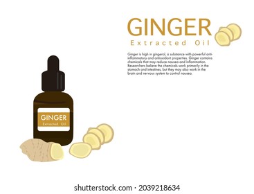 ginger herb for extracted oil in medical treatment vector isolated on white background ep03