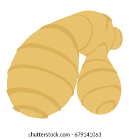 Ginger icon. Cartoon illustration of ginger vector icon for web