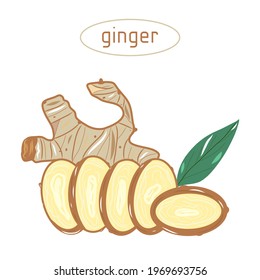 Ginger icon. Creative illustration. Colorful sketch. Idea for decors, logo, patterns, papers, covers, gifts, summer and autumn holidays, floral natural themes. Isolated vector art.