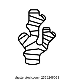 ginger icon Flat symbol set outline