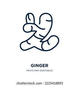 ginger icon from fruits and vegetables collection. Thin linear ginger, food, cooking outline icon isolated on white background. Line vector ginger sign, symbol for web and mobile