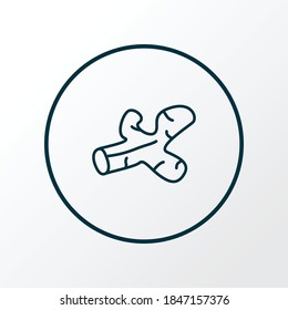 Ginger icon line symbol. Premium quality isolated turmeric element in trendy style.