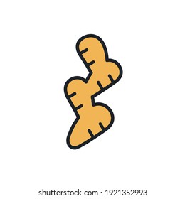 Ginger icon. Linear color icon, contour, shape, outline isolated on white. Thin line. Modern design. Vector illustrations of vegetables.
