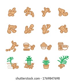 ginger icon set/Flat icon set design, Out line vector icon set for design.