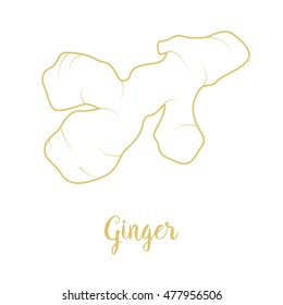 Ginger icon. Sketch. Vector illustration.